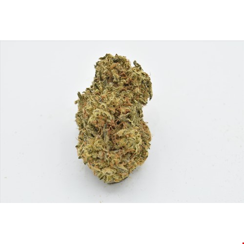 Gelato (Hybrid) - SALE 1 OZ $85
